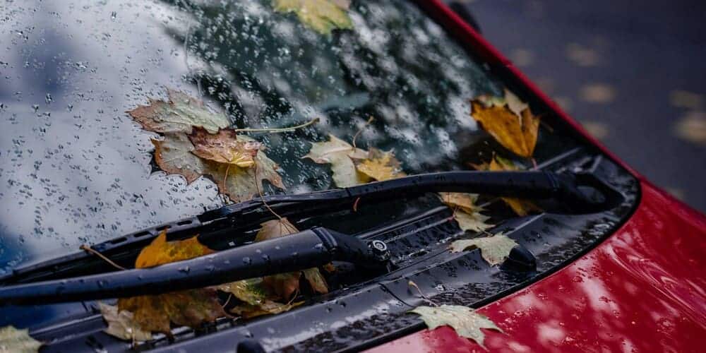Las escobillas limpiaparabrisas de un coche