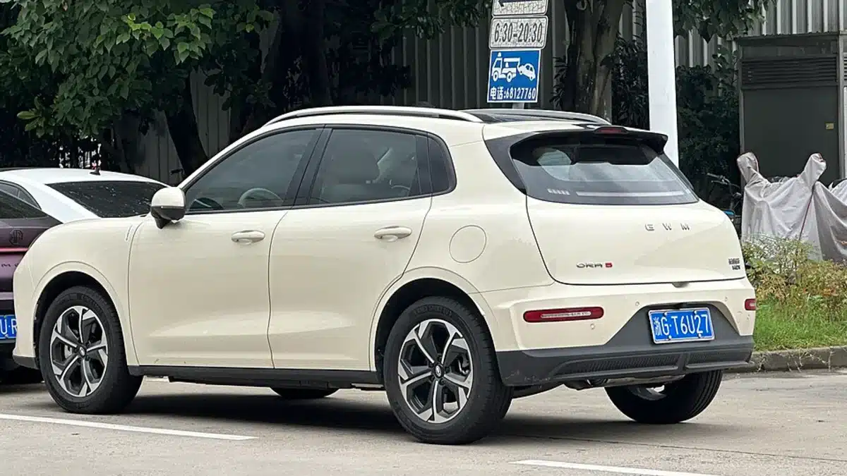 GWM Ora 5, vista trasera